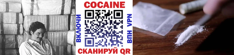 COCAIN Fish Scale  купить   Грязи 