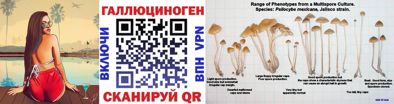 как найти закладки  Грязи  мега tor  Псилоцибиновые грибы Psilocybine cubensis 