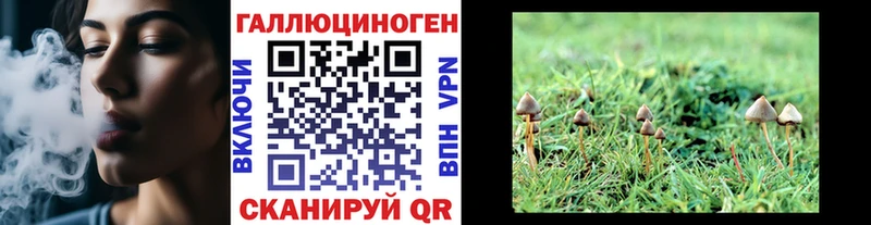 Псилоцибиновые грибы GOLDEN TEACHER Грязи